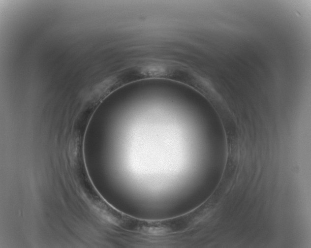 X0000082720645200702021446