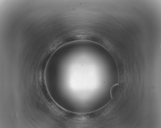 X0000082720646200702021446