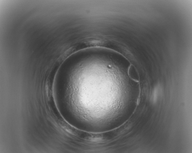 X0000082720651200702021446