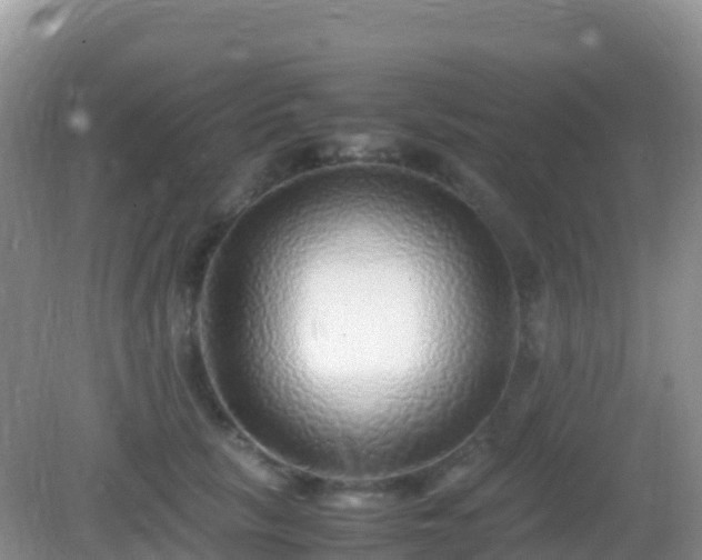 X0000082720657200702021446