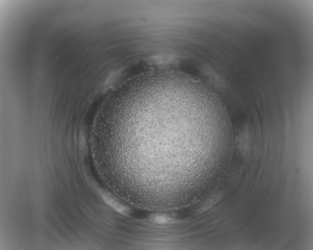 X0000082720662200702021446
