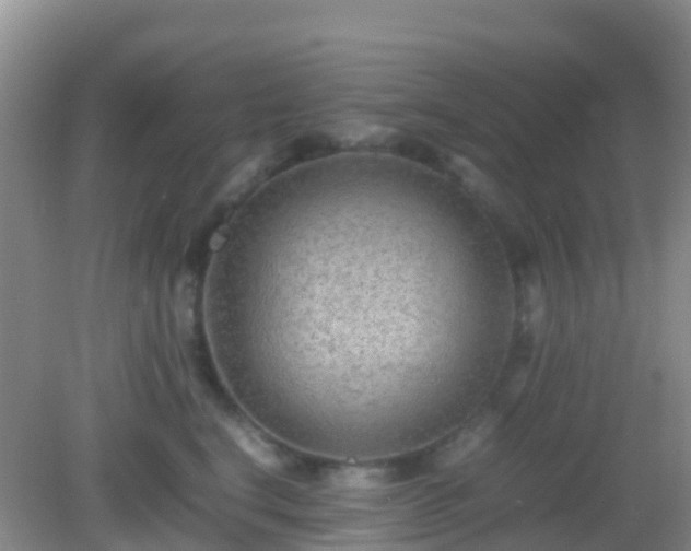 X0000082720664200702021446