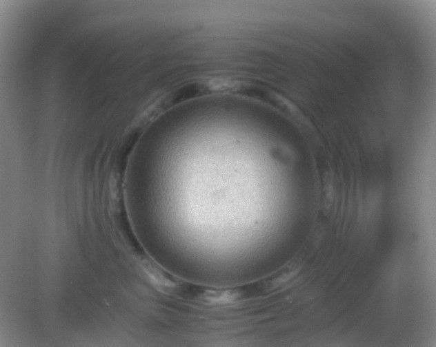 X0000082720667200702021446