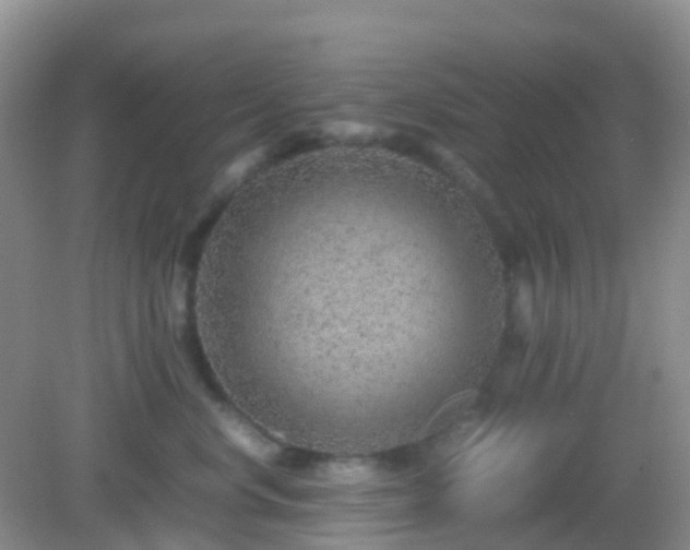 X0000082720668200702021446