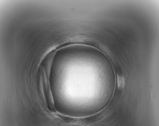 X0000082720675200702021446