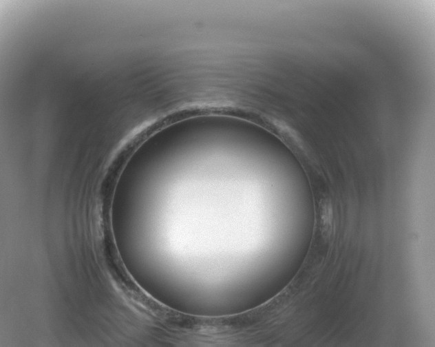 X0000082720684200702021445