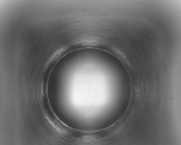 X0000082720686200702021445