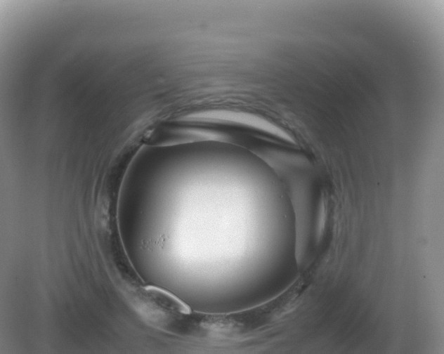 X0000082720693200702021445