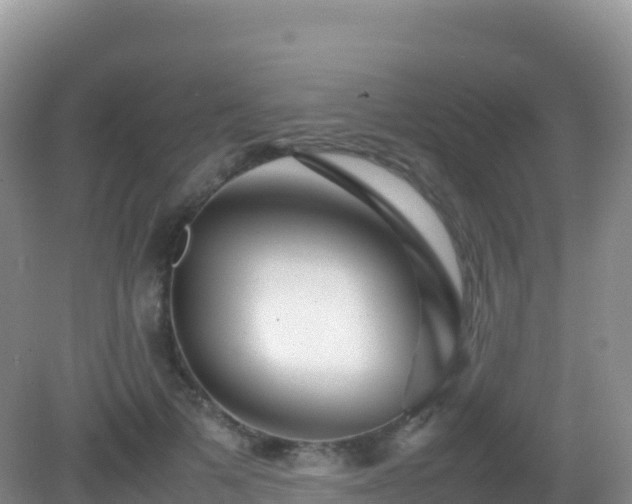 X0000082720697200702021445