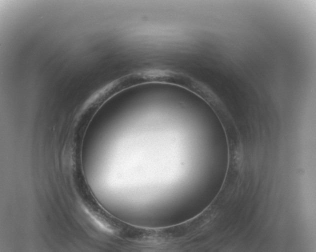 X0000082720732200702021444
