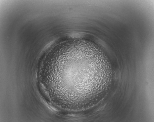 X0000082720733200702021444