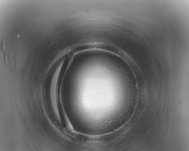 X0000082720734200702021444