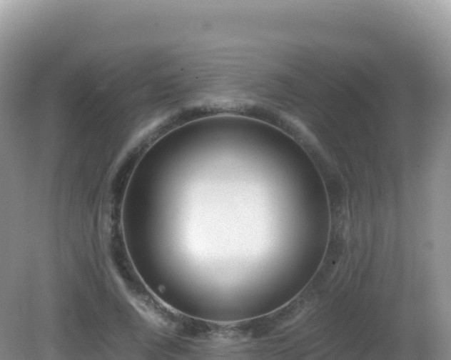 X0000082720736200702021444