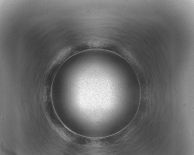 X0000082720738200702021444