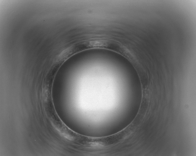 X0000082720741200702021444