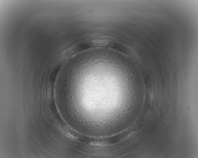 X0000082720745200702021444