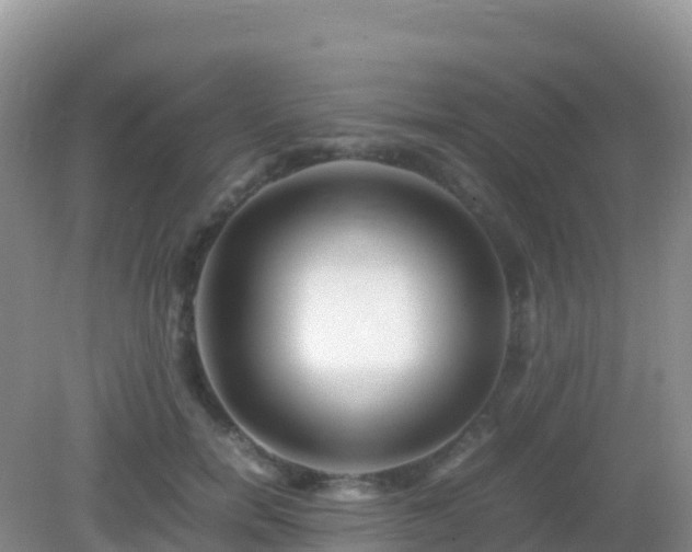 X0000082720750200702021444