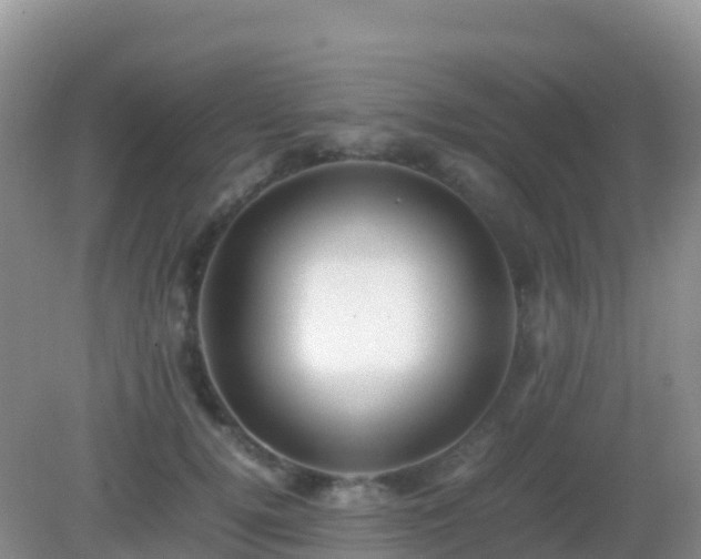 X0000082720752200702021445