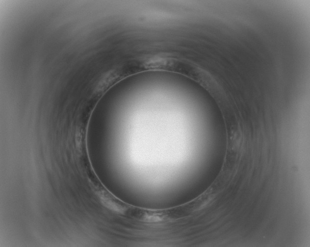 X0000082720753200702021445