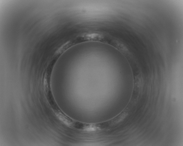 X0000082720754200702021445