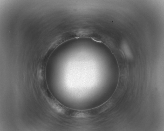 X0000082720755200702021445