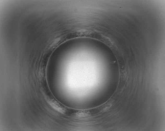 X0000082720756200702021445