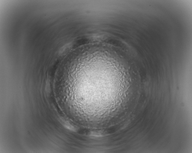 X0000082720757200702021445