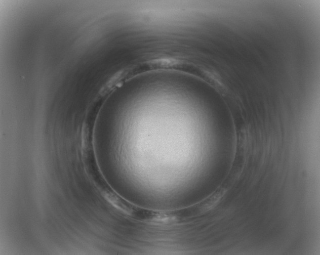 X0000082720760200702021445