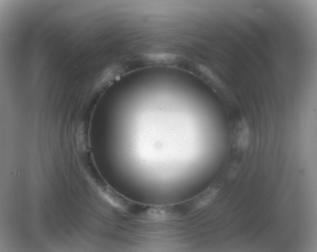 X0000082720764200702021445