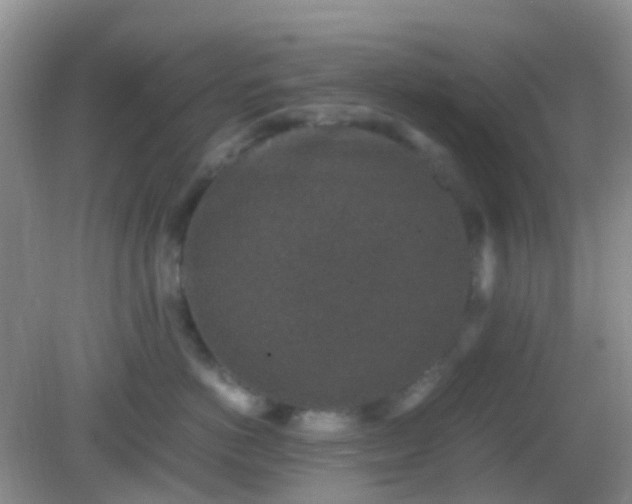 X0000082720766200702021445
