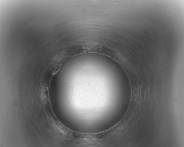 X0000082720770200702021444