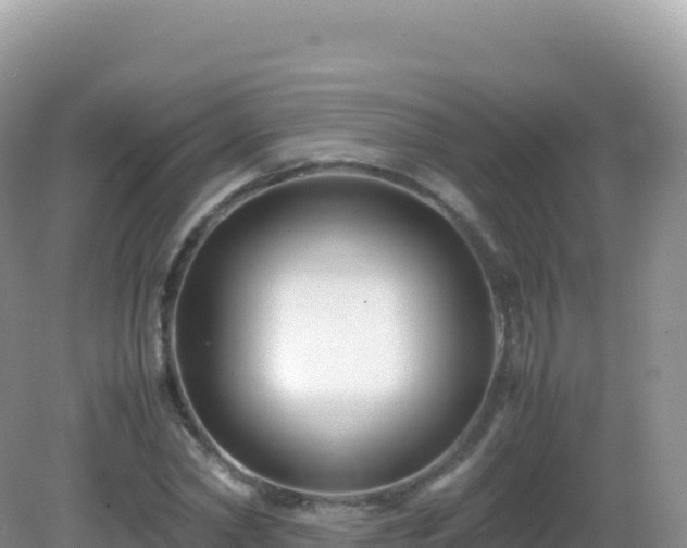 X0000082720782200702021444