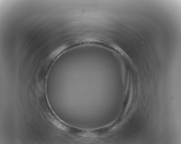 X0000082720785200702021444