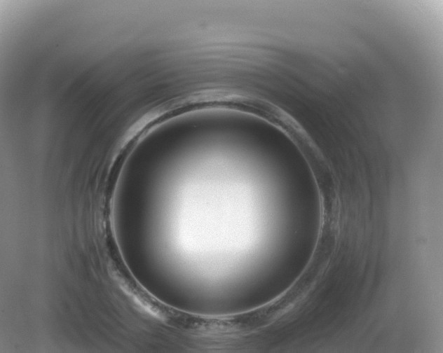 X0000082720786200702021444