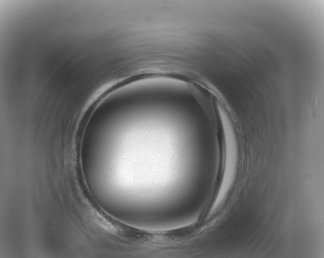 X0000082720787200702021444