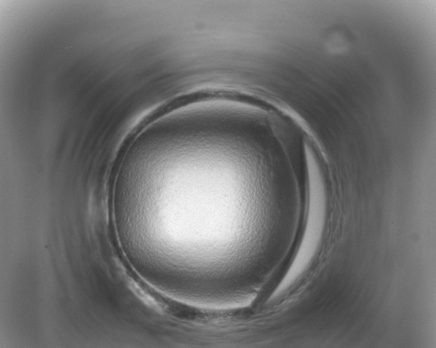 X0000082720791200702021444