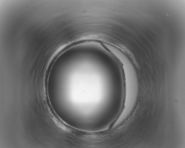 X0000082720792200702021444
