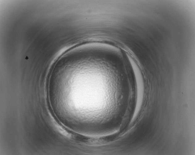 X0000082720795200702021444