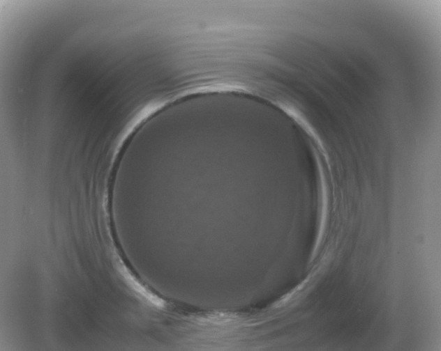 X0000082720797200702021444