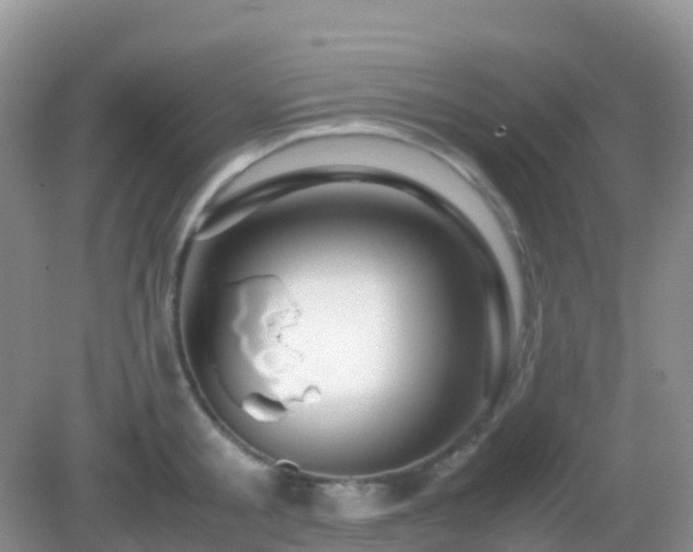 X0000082720805200702021443