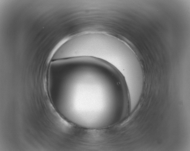 X0000082720812200702021443