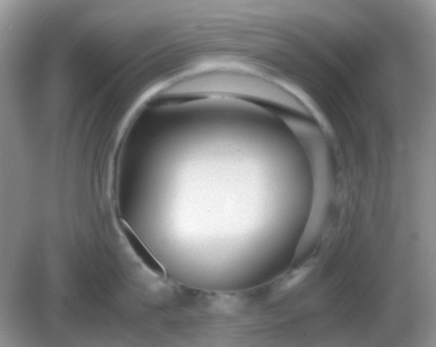 X0000082720815200702021443