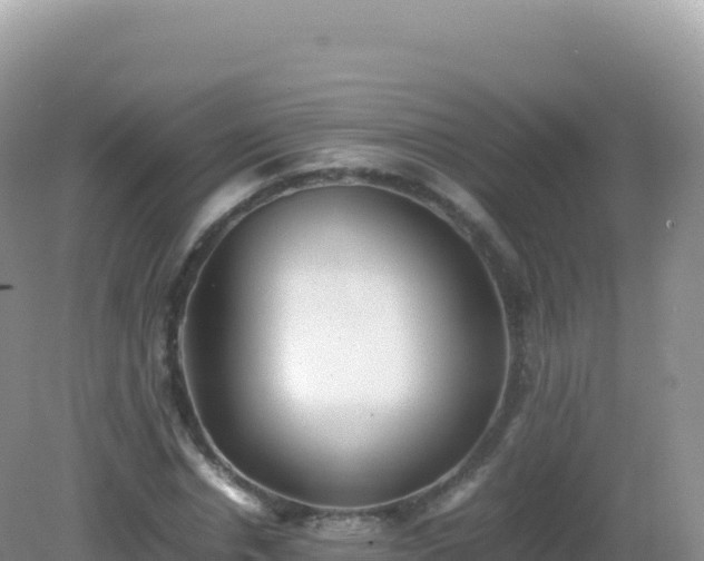 X0000082720826200702021443