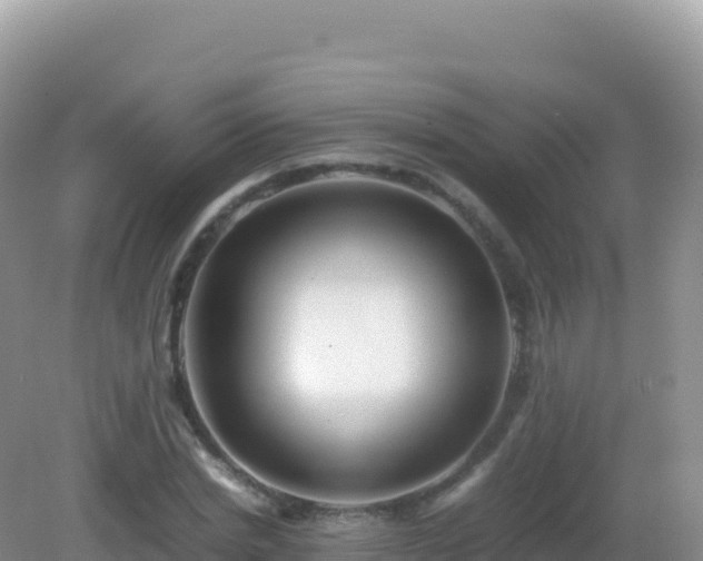 X0000082720830200702021443
