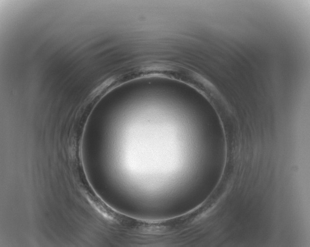 X0000082720833200702021443