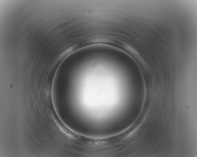 X0000082720841200702021443