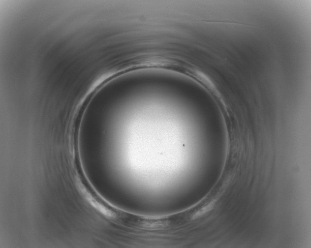 X0000082720843200702021443