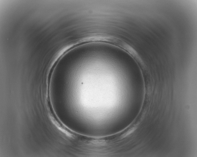 X0000082720844200702021443