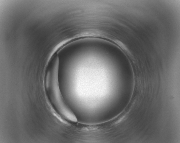 X0000082720846200702021443