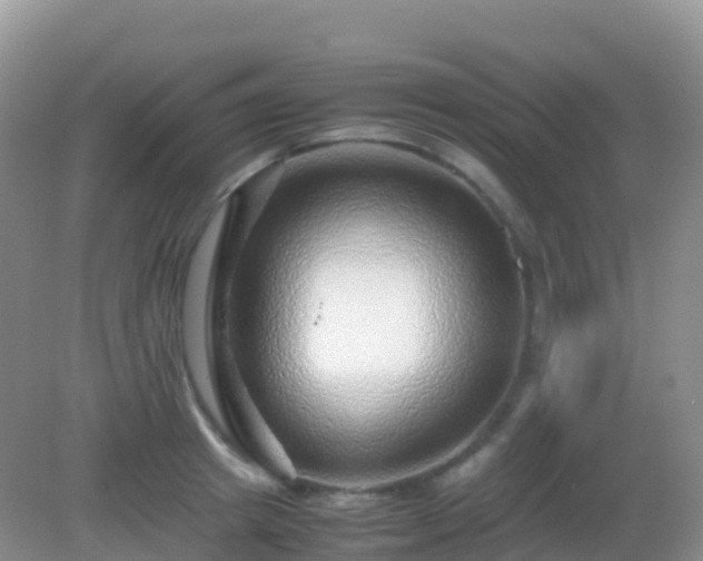 X0000082720849200702021443